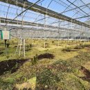 남진농장 이미지