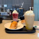 체리콕콕 | 2026 스타벅스 🌸체리블라썸MD 출시 / 슈크림라떼 커스텀, 블루밍 퀸텐 텀블러 벚꽃엠디 구입후기