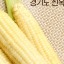 마켓커머스 - 금천구 | 마켓커머스