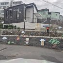 괘내함지박 이미지