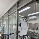 개털도사 이미지