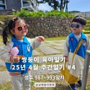 이마트24 망원제일점 | 2025-04 주간 육아일기 #4 - 쌍둥이 생후 987일차~993일차