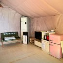 멍글멍글 이미지