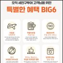 베트남 다낭 여행 계획 다낭 패키지 여행 노쇼핑 단독 가이드