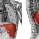 247멀티짐 이미지