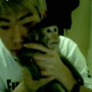 재벌될개 이미지