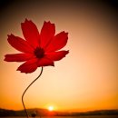 바우네식당 이미지