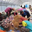 장등농장 이미지