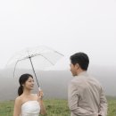 진희 | 강릉 웨딩스냅 비엔토스튜디오 진희이모님 사진촬영 후기