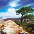 골목안 나무집 이미지