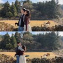 쉬리목장 이미지