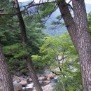 대원사계곡 이미지