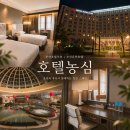 현대농심가 | 부산 호텔농심 하이디럭스룸 허심청 부산 온천 호텔 숙소 추천