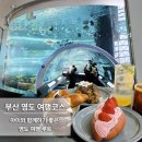 부산광역시 영도구 해양로 | [부산] 영도 비오는 날 아이랑 가볼만한곳 해양박물관 피아크카페 미피샵 내돈내산 후기