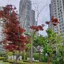 길음빛어린이집 이미지