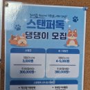 스탠퍼독 이미지