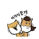 시원유리막 전문정비 네이버블로그