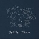 나비야 스튜디오 이미지