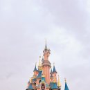 숲속의 캐슬 이미지