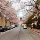 반송동248 이미지