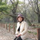 상림관광안내소 Daum카페