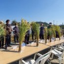 세종특별자치시농업기술센터 이미지