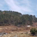 남해-284 이미지