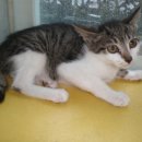 서림동-7 이미지