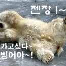 저도 유료낚시터 이미지