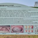 영등동유적 이미지