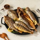 헬스버스 이미지