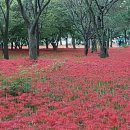 목양산방 이미지