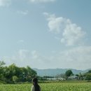 호연스테이 이미지