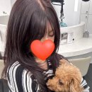 디자인커런트 | 퇴색된 브라운이 얼굴을 칙칙하게? 야당미용실 블랙커런트 염색 후기 숨헤어 배은