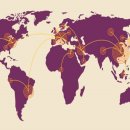 논스톱 행정사 사무소 이미지