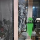 고구려방충망 내돈내산 후기 안전방충망 방묘창 롤방충망 설치 후 대만족했음