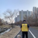 도그 팰리스 이미지