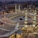 MECCA Daum카페