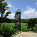 강마을공원 이미지