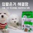 안녕, 내강아지 | 입짧은 강아지사료후기 코박고 먹는 뉴트리플랜 소프트뮨