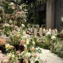 아름다울개 | 웨딩홀투어 서울 강서 더뉴컨벤션웨딩 1층 르노브홀 후기