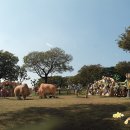 유등농장 이미지