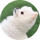 왕산로-6 | [청량리] 가성비 미친 노포 횟집, 바다먹거리장터 '다퍼줘'!! 포장 후기 🦐 (feat. 활새우 천원)