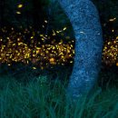 우림목장(2) 이미지