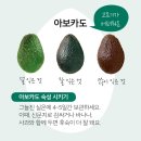 김밥팩토리