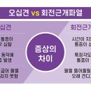 애룰바디 이미지