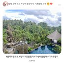 씨&밸리 | 발리 우붓 숙소 가성비 풀빌라 더카욘밸리 리조트 가격 후기