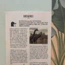 보사우러스 이미지