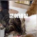 쿤이네집 이미지