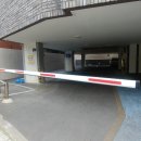 경기도 수원시 팔달구 세지로372번길 이미지